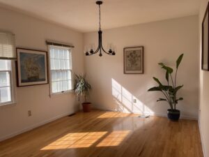 Vacant Staging Before